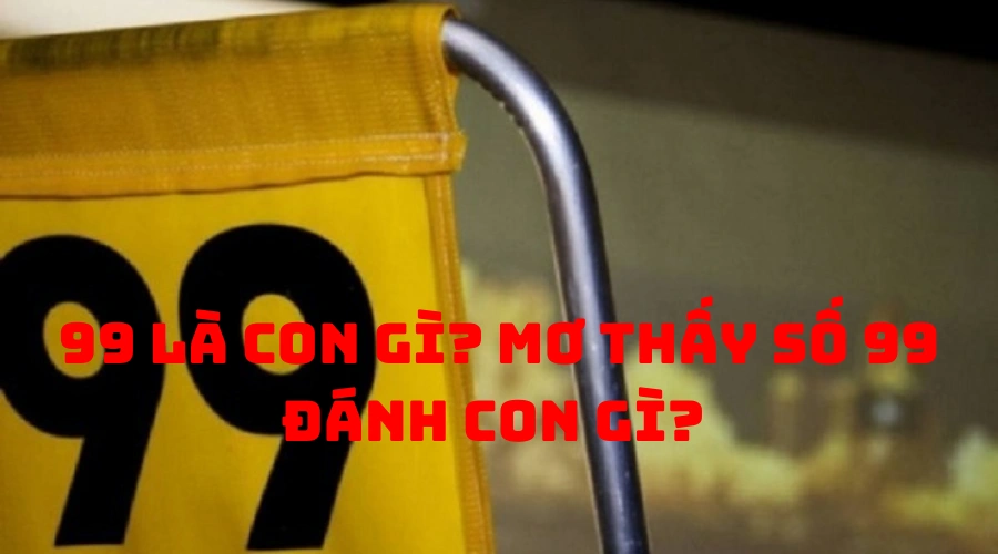 99 là con gì? Mơ thấy số 99 đánh con gì