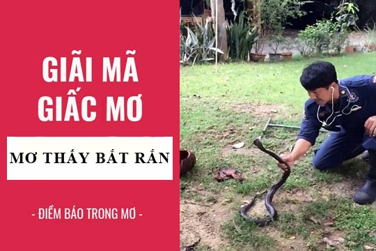 Chiêm bao thấy bắt rắn là điềm báo về điều gì? Con số liên quan