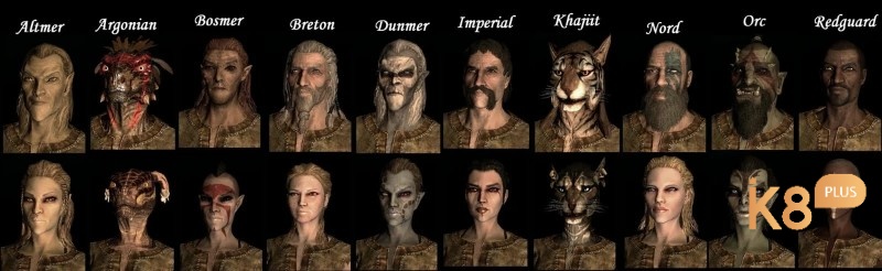 Nâng cấp nhân vật và chọn Perk trong Skyrim